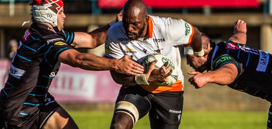 Latest News | SA Rugby